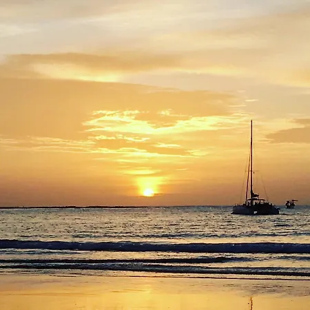 Appartement Ruim Zonnig Op 50m *